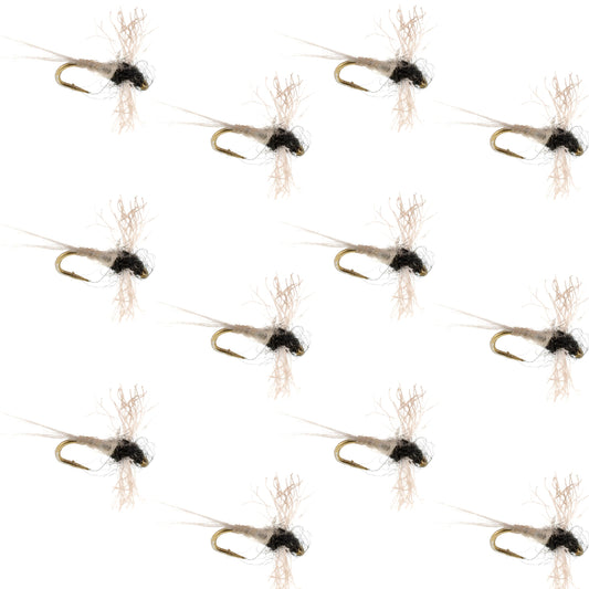 Z-Lon Wing Trico Spinner Kapok Body Hook 12 Flies Size 20
