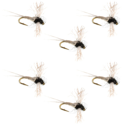 Z-Lon Wing Trico Spinner Kapok Body Hook 6 Flies Size 24