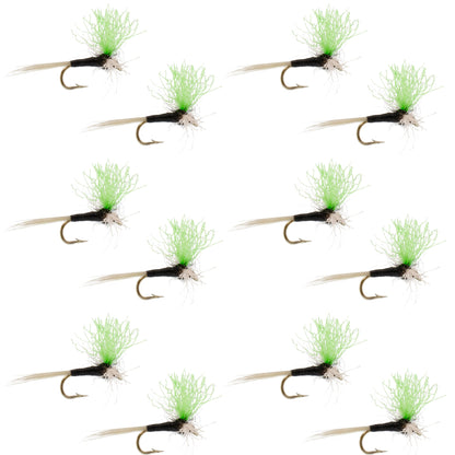 Trico Spinner High Visibility Green Post 12 Flies Hook Size 20