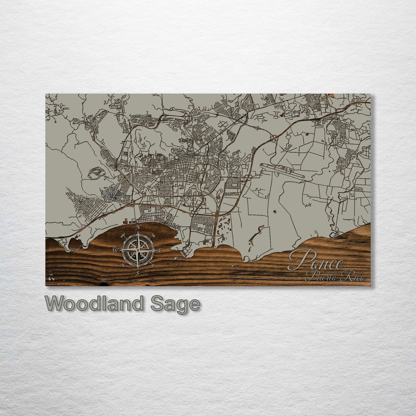 Ponce, Puerto Rico Street Map