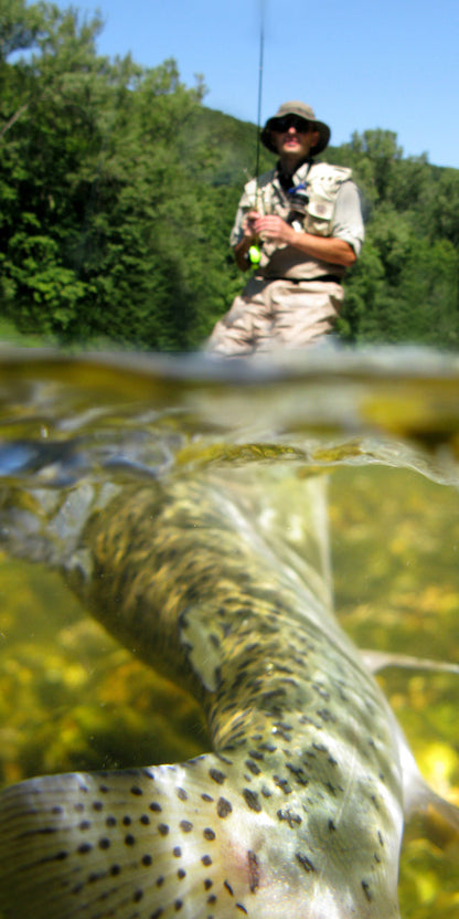 3 Pack Flashtail Bass Popper Size 6 - Chartreuse Bass Fly Fishing Bug Wide Gape Bass Hooks With Weed Guard