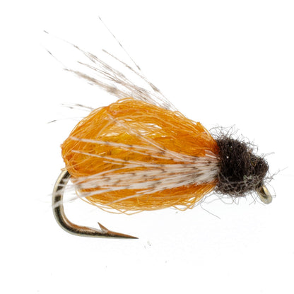 LaFontaine Amber Deep Sparkle Caddis Pupa - 6 Flies Hook Size 14
