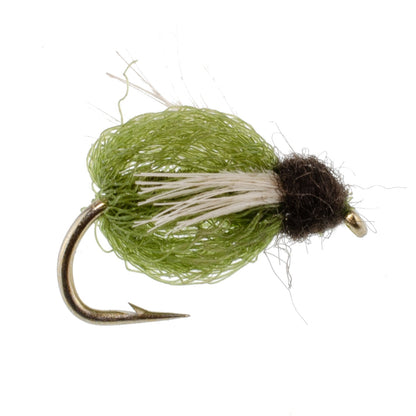 LaFontaine Olive Deep Sparkle Caddis Pupa - 6 Flies Hook Size 12