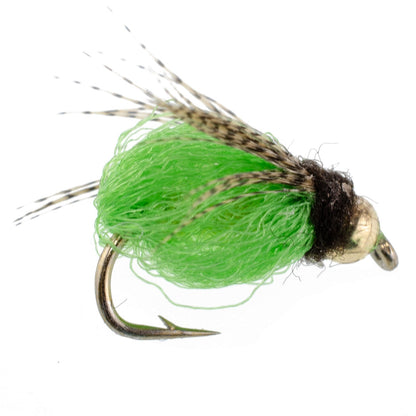 Bead Head LaFontaine Green Deep Sparkle Caddis Pupa - 6 Flies Size 12