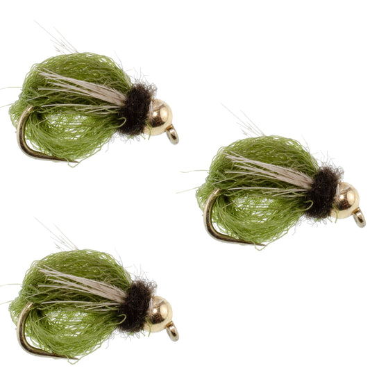 3 Pack LaFontaine Olive Deep Sparkle Caddis Pupa - Hook Size 14