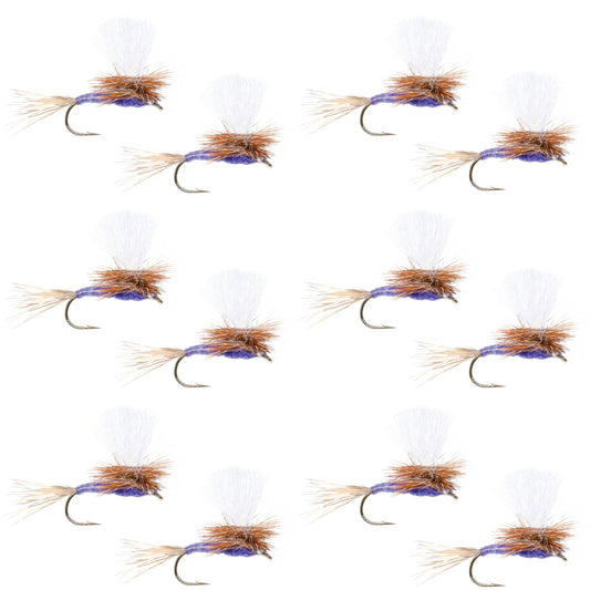 Parachute Purple Haze Dry Fly - 12 Flies Size 12