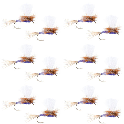 Parachute Purple Haze Dry Fly - 12 Flies Size 16