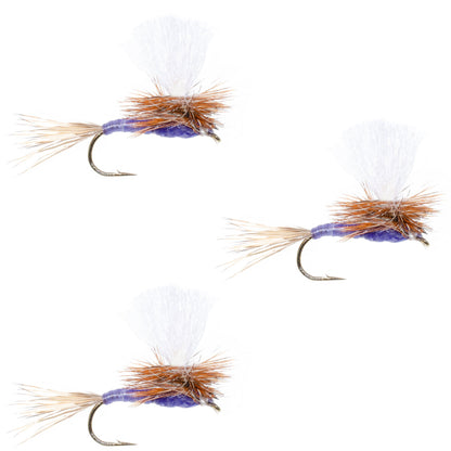 3 Pack Parachute Purple Haze Dry Fly - Size 16