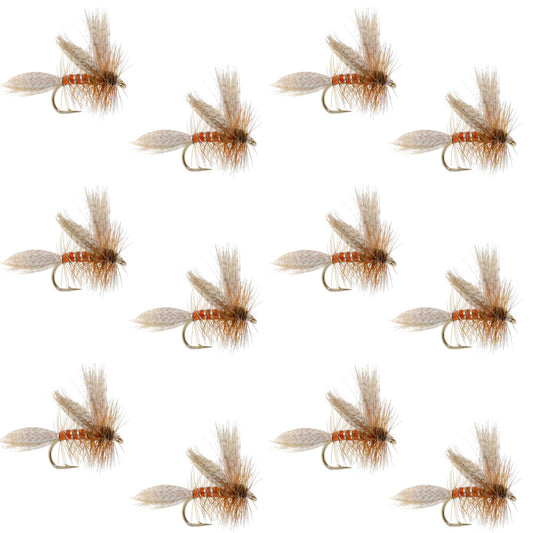 Queen Of The Waters Classic Dry Fly - 12 Flies Size 12