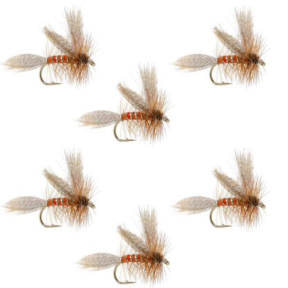 Queen Of The Waters Classic Dry Fly - 6 Flies Size 12
