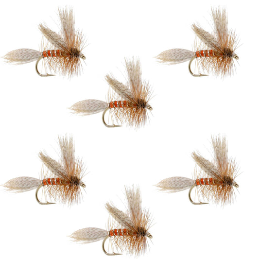 Queen Of The Waters Classic Dry Fly - 6 Flies Size 12