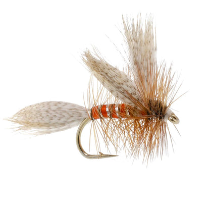 Queen Of The Waters Classic Dry Fly - 12 Flies Size 12