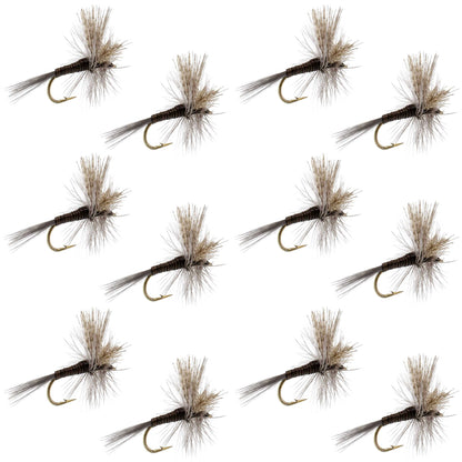 Quill Gordon Classic Dry Fly - 12 Flies Size 14
