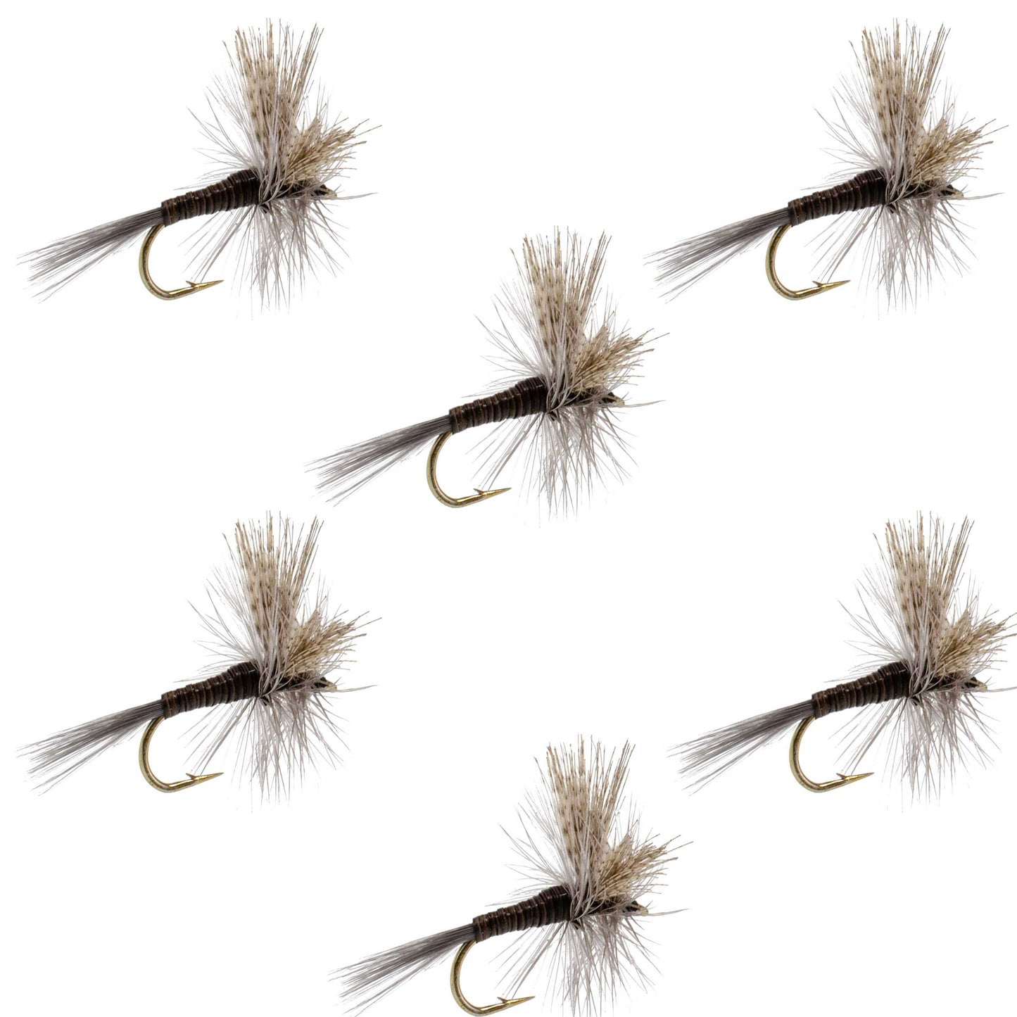Quill Gordon Classic Dry Fly - 6 Flies Size 14
