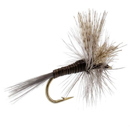 Quill Gordon Classic Dry Fly - 12 Flies Size 14