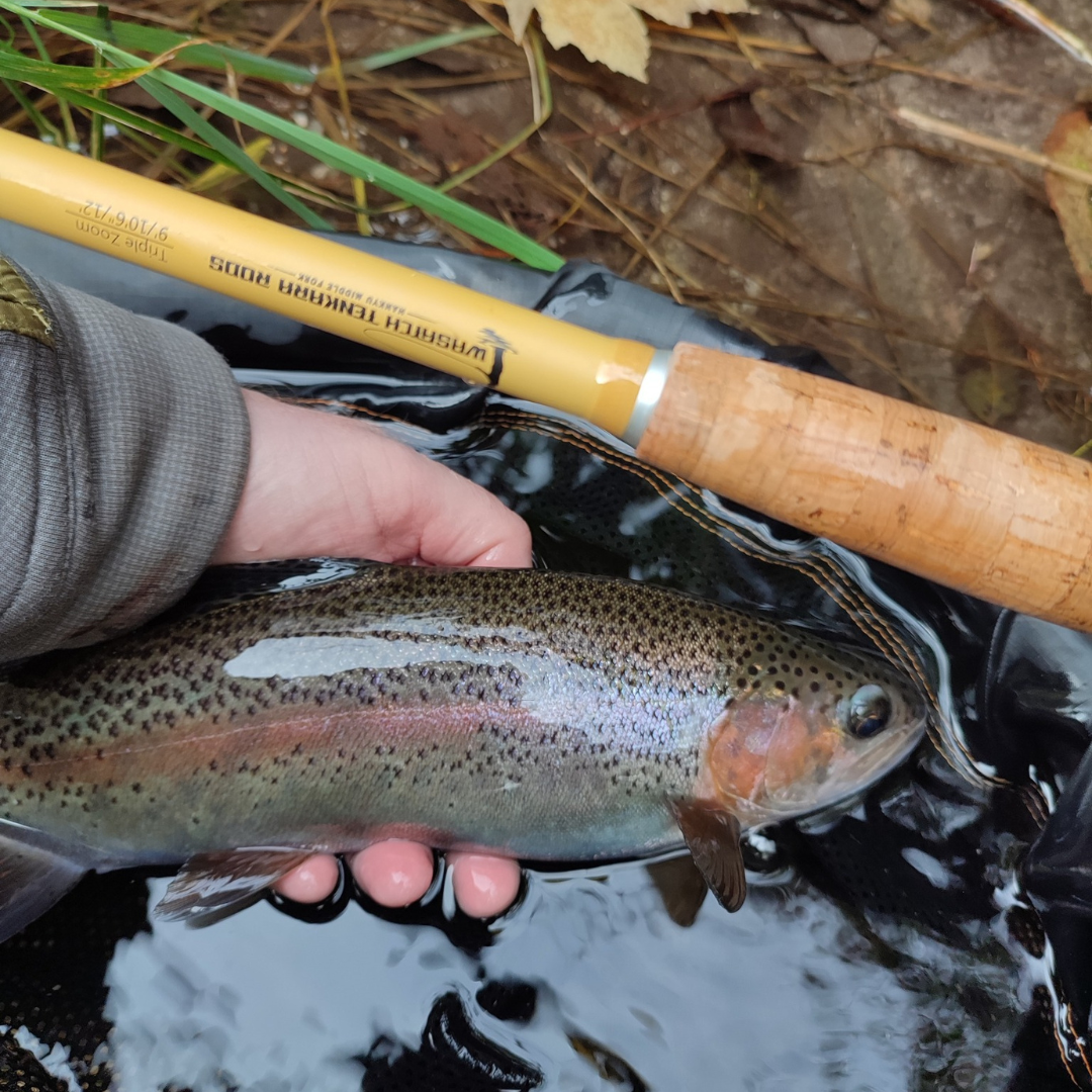 Hankyu Middle Fork