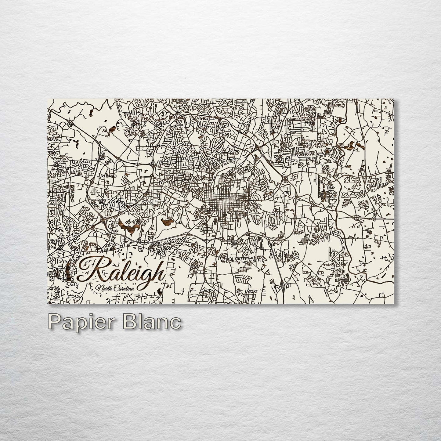 Raleigh, North Carolina Street Map