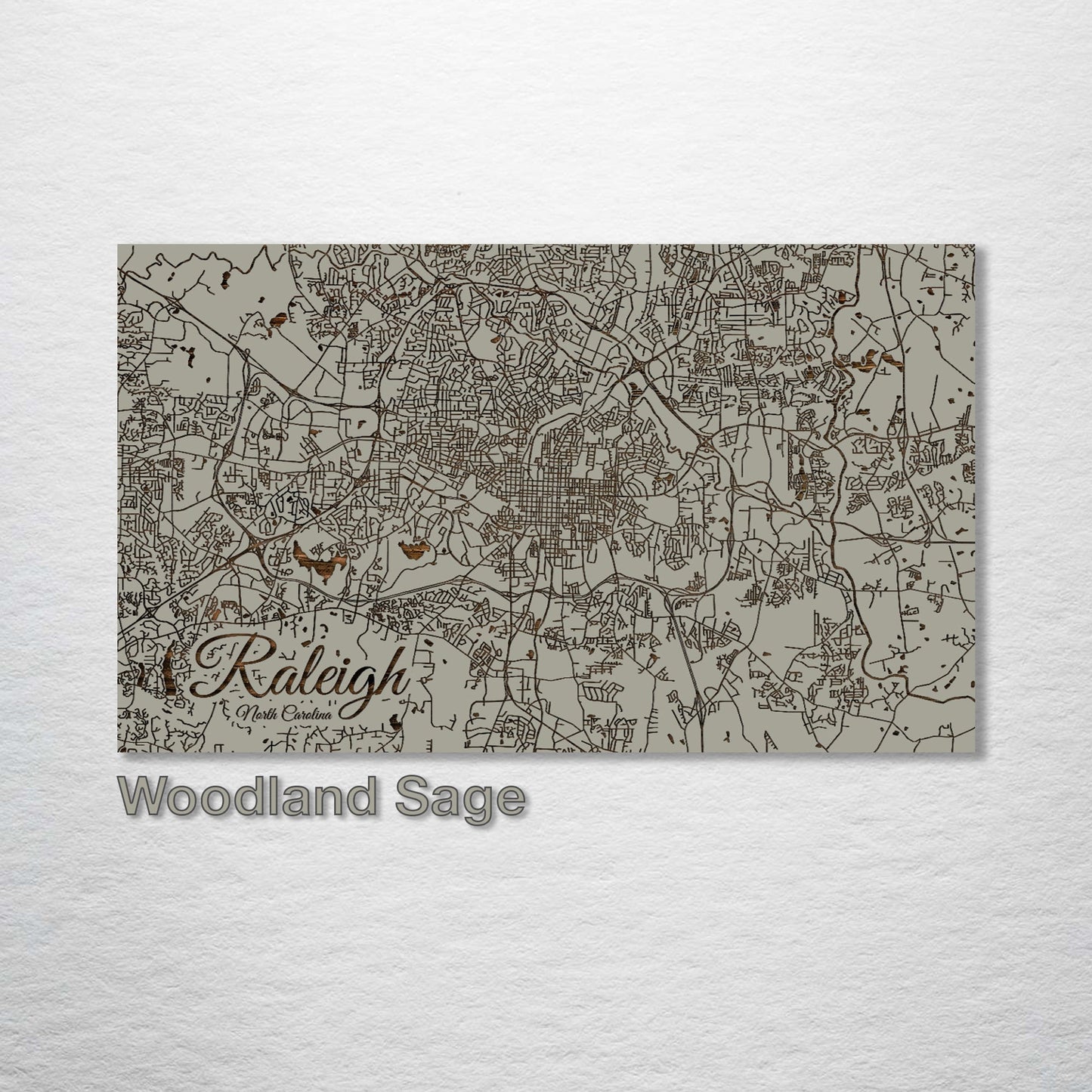 Raleigh, North Carolina Street Map