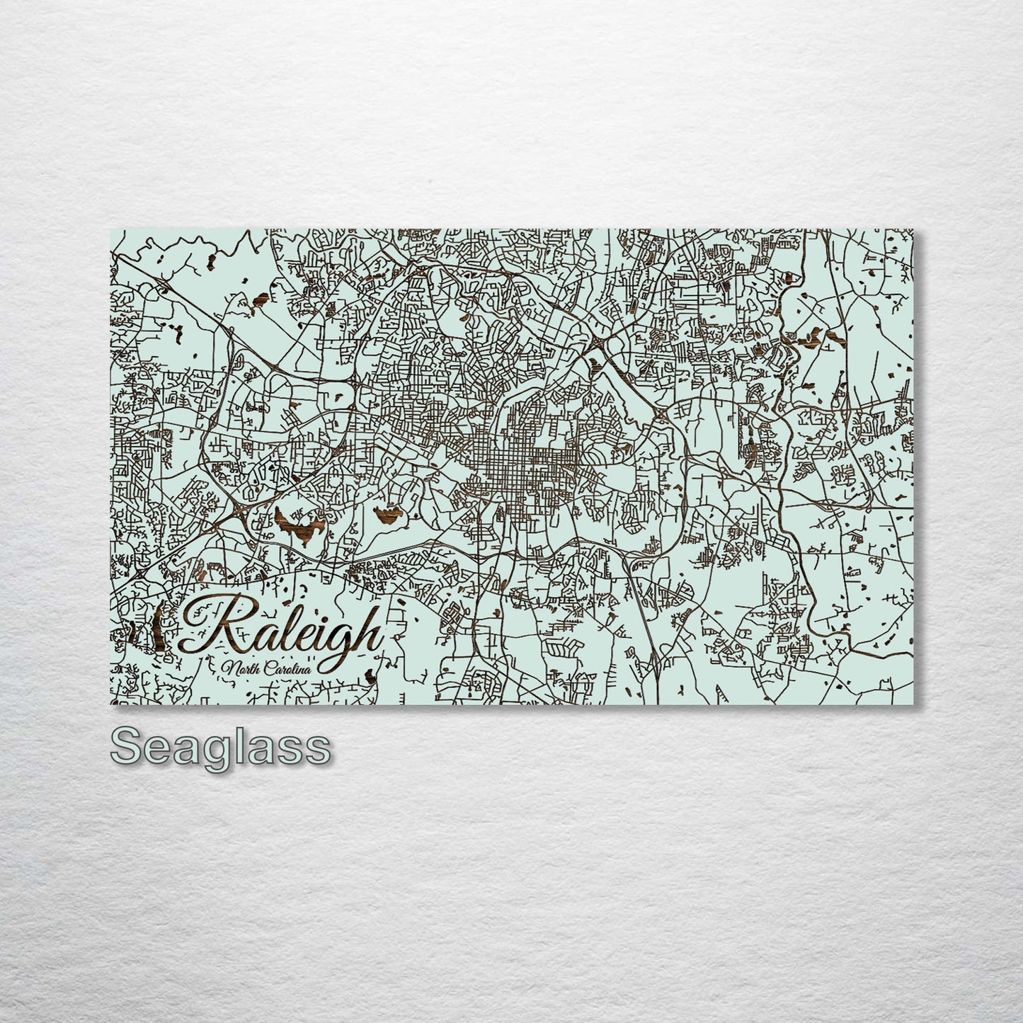 Raleigh, North Carolina Street Map