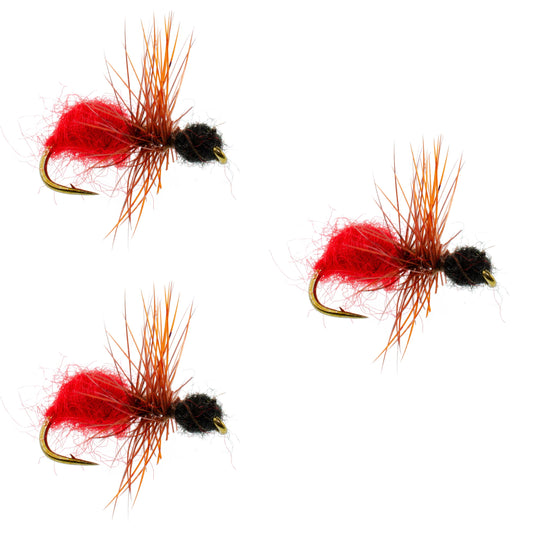 3 Pack Velvet Cowkiller Ant Wasp Terrestrial Trout Dry Fly - Hook Size 12