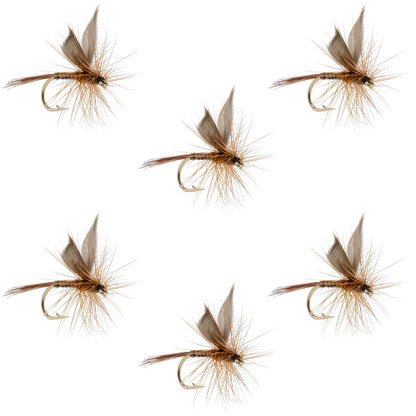 Red Quill Classic Dry Fly - 6 Flies Size 14