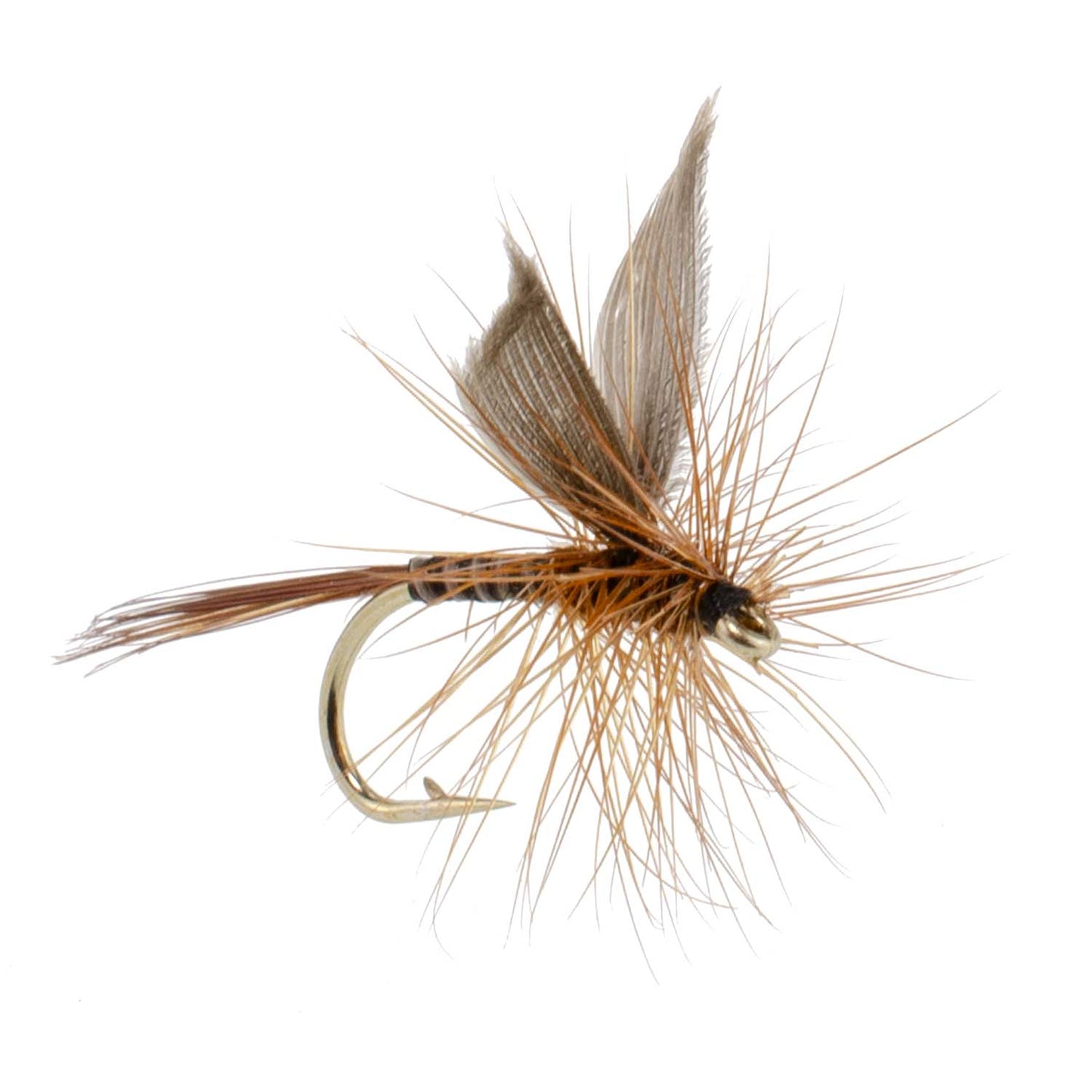 Red Quill Classic Dry Fly - 12 Flies Size 12