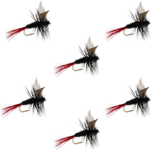 Red-Tailed Black Gnat Classic Dry Fly - 6 Flies Size 16