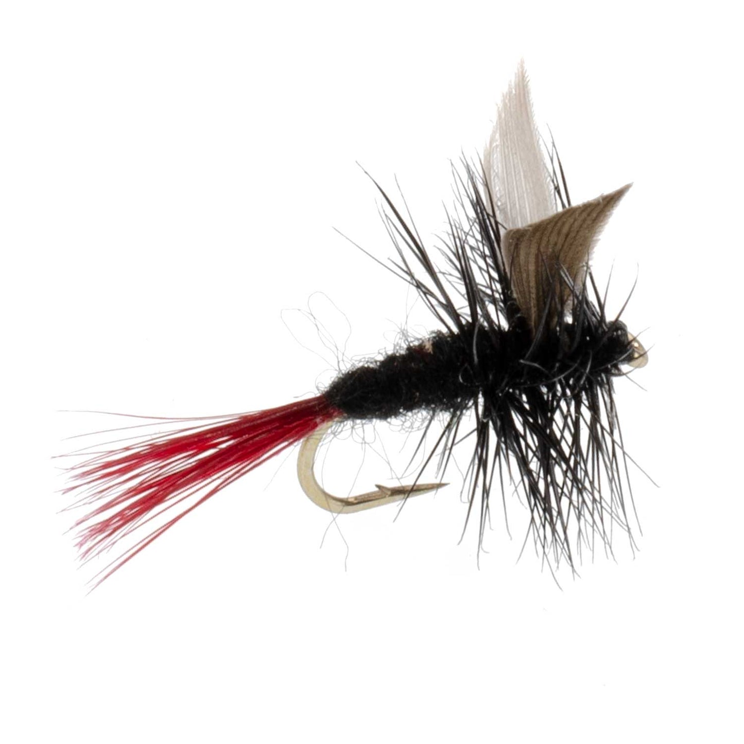 Red-Tailed Black Gnat Classic Dry Fly - 12 Flies Size 18