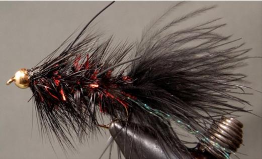 Woolly Bugger - Bead Head