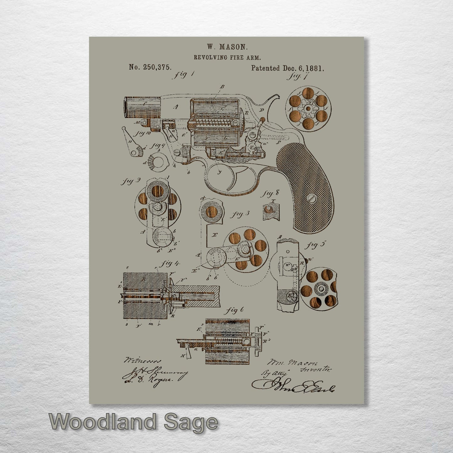 Revolving Firearm 1881
