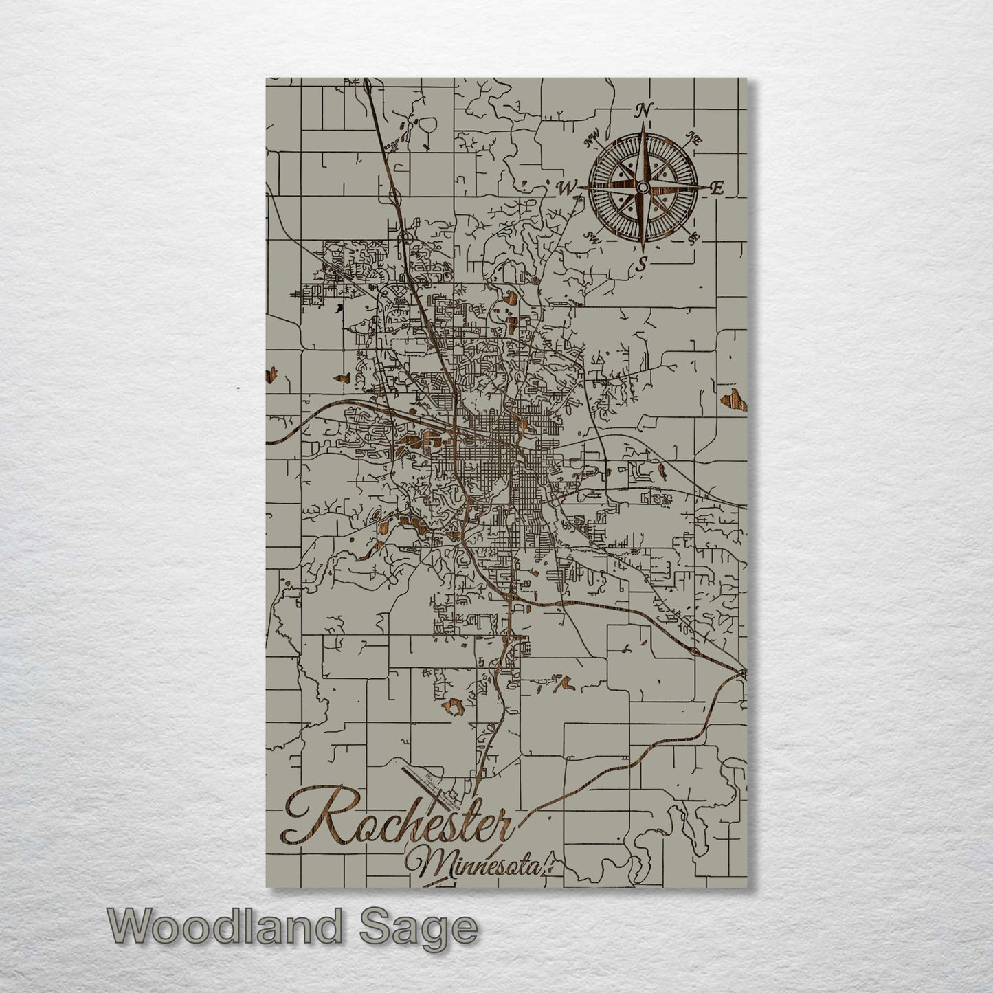 Rochester, Minnesota Street Map