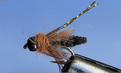 Rocky Mtn. Caddis - 5 Colors