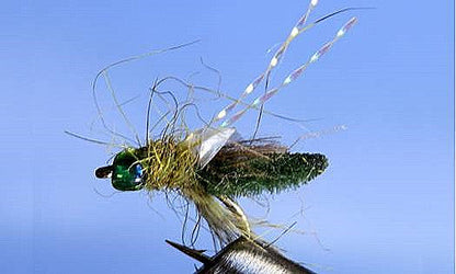 Rocky Mtn. Caddis - 5 Colors