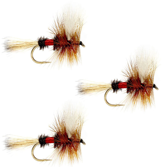 3 Pack Barbless Royal Wulff Classic Hair Wing Dry Fly - Hook Size 10
