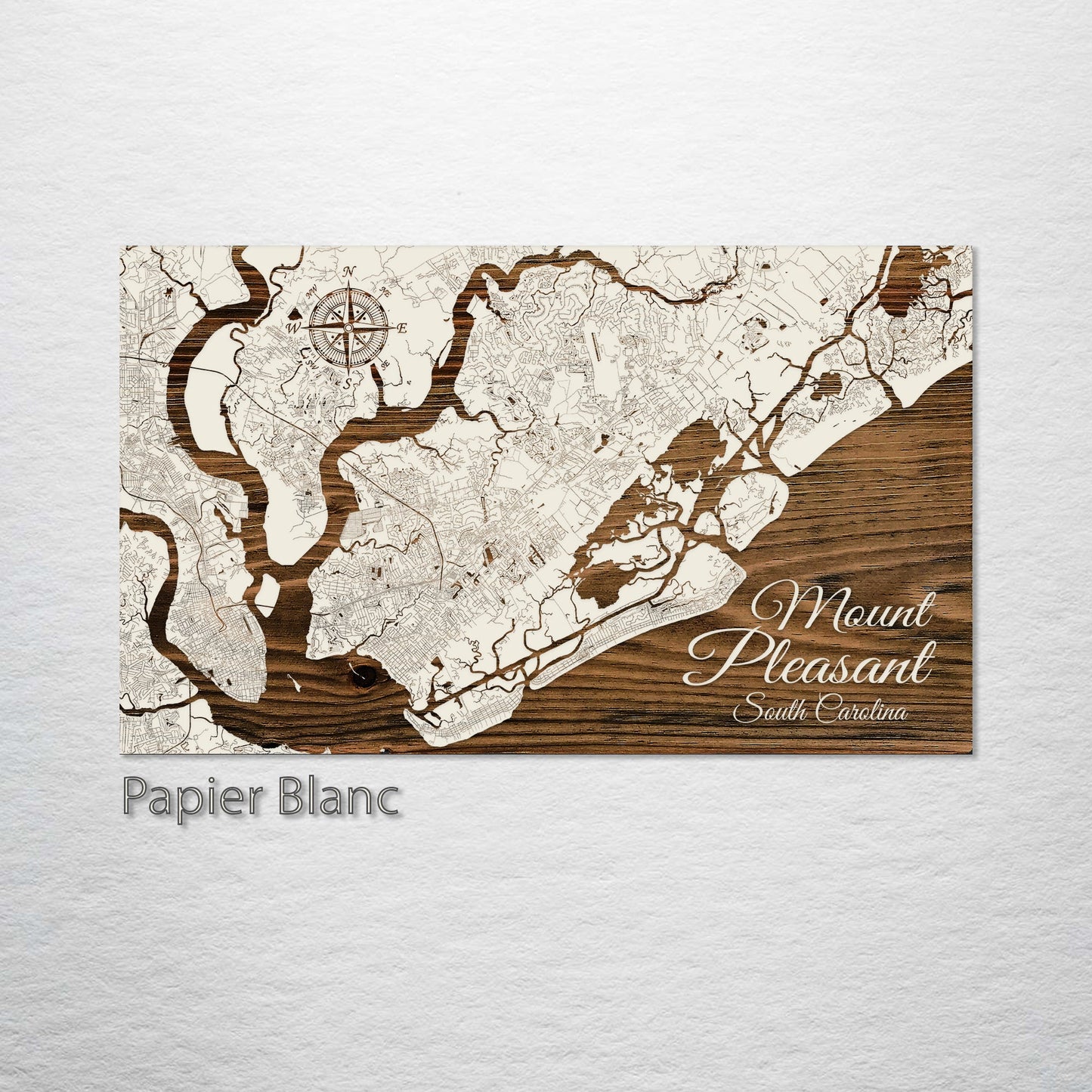 Mount Pleasant, South Carolina Street Map