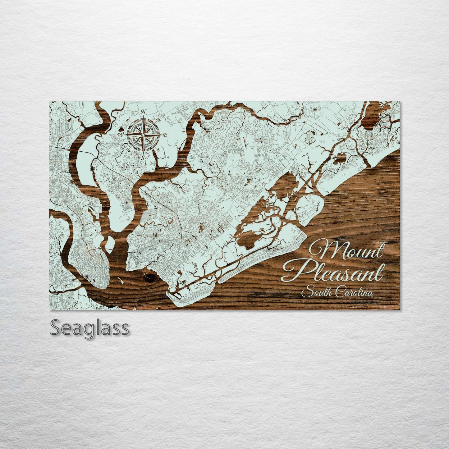 Mount Pleasant, South Carolina Street Map