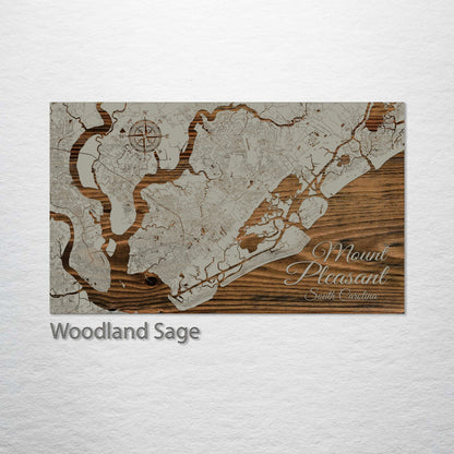 Mount Pleasant, South Carolina Street Map