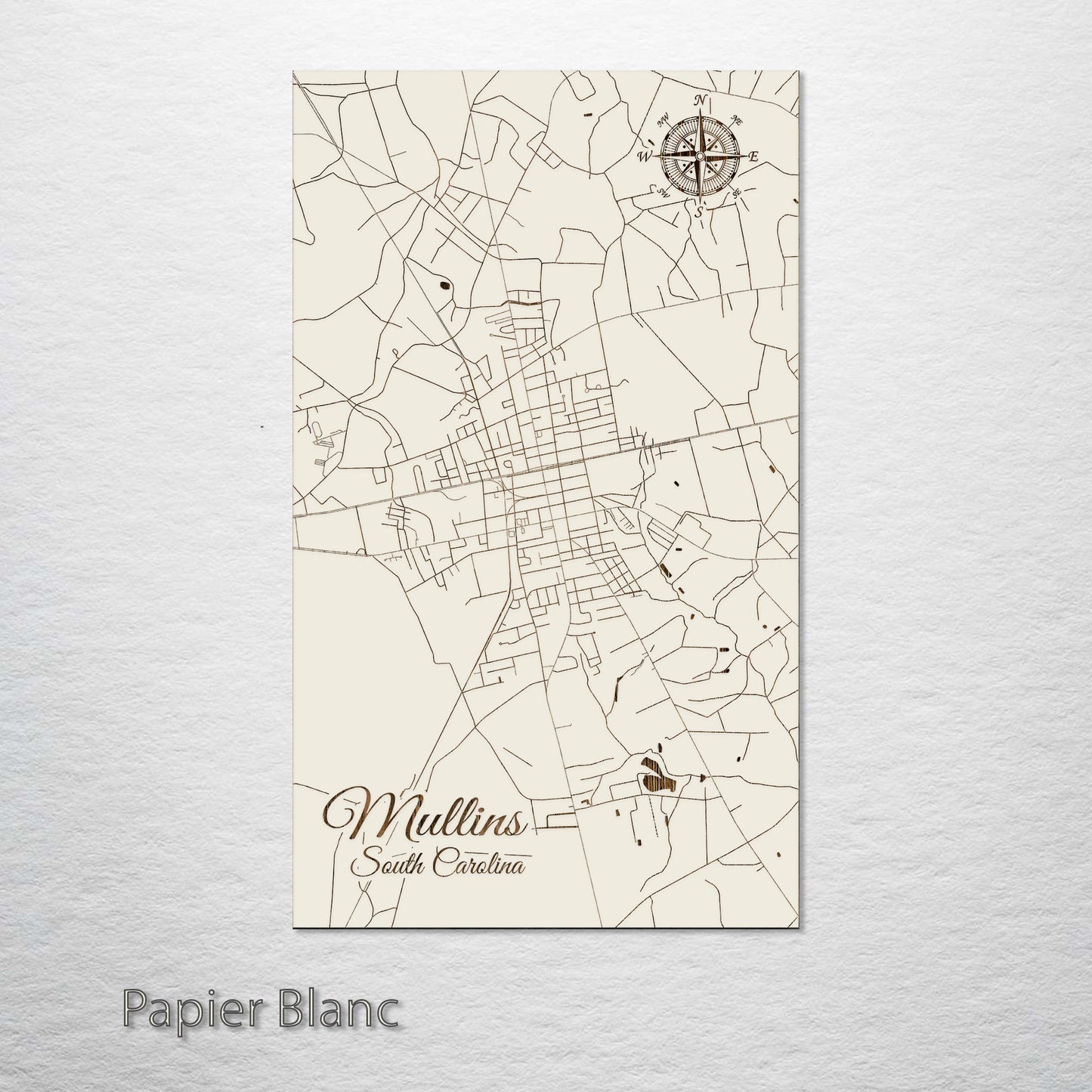 Mullins, South Carolina Street Map