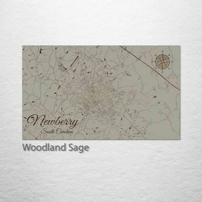 Newberry, South Carolina Street Map