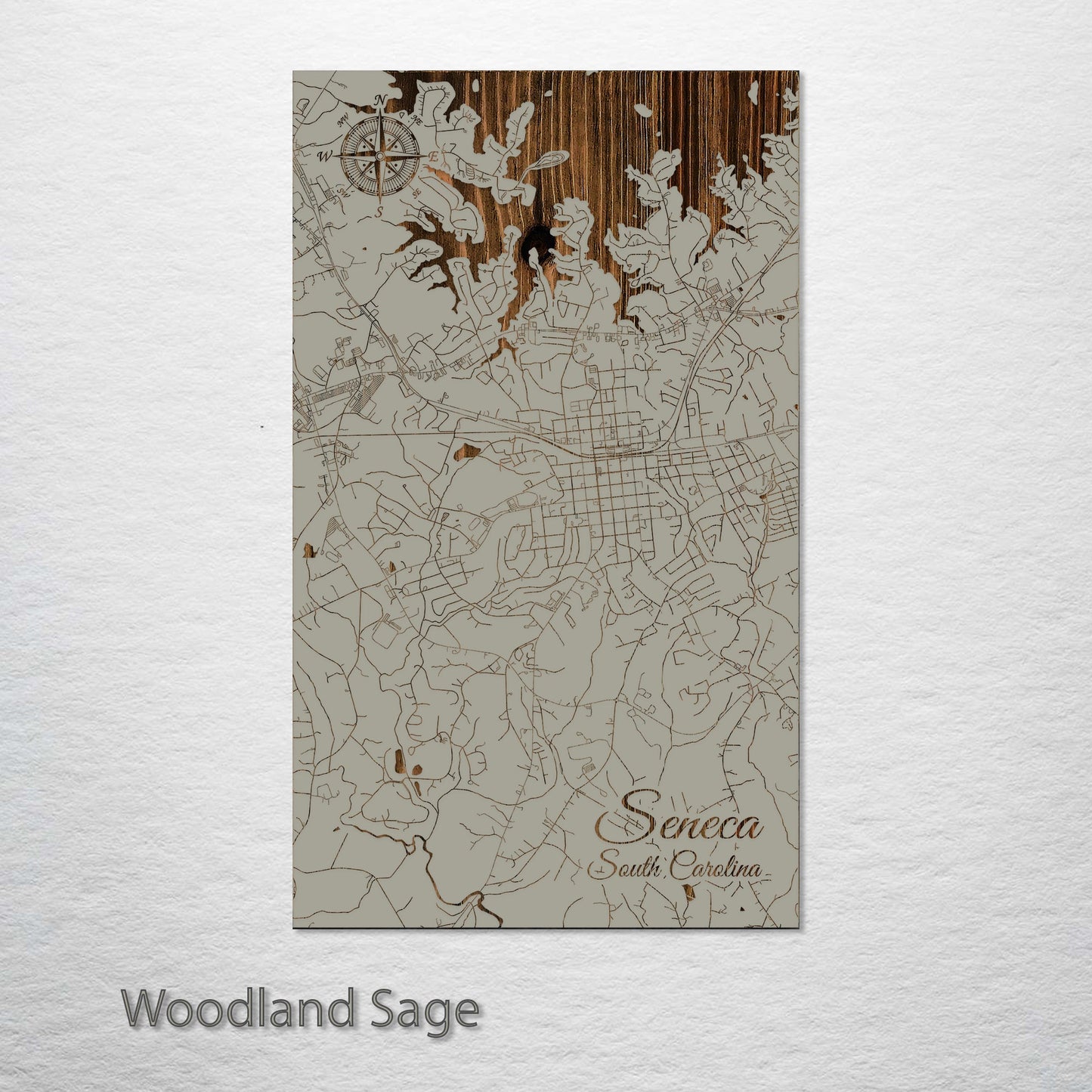 Seneca, South Carolina Street Map