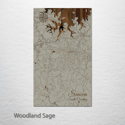 Seneca, South Carolina Street Map