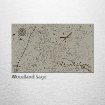 Walterboro, South Carolina Street Map