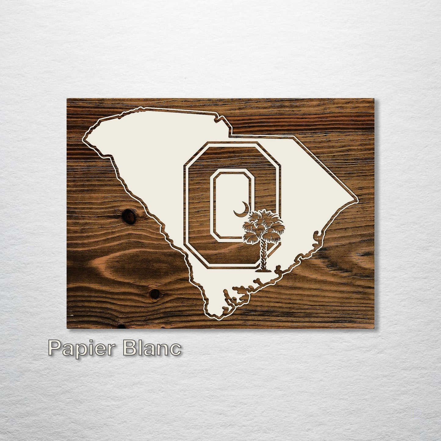 South Carolina "Block O" Abstract (inverted)