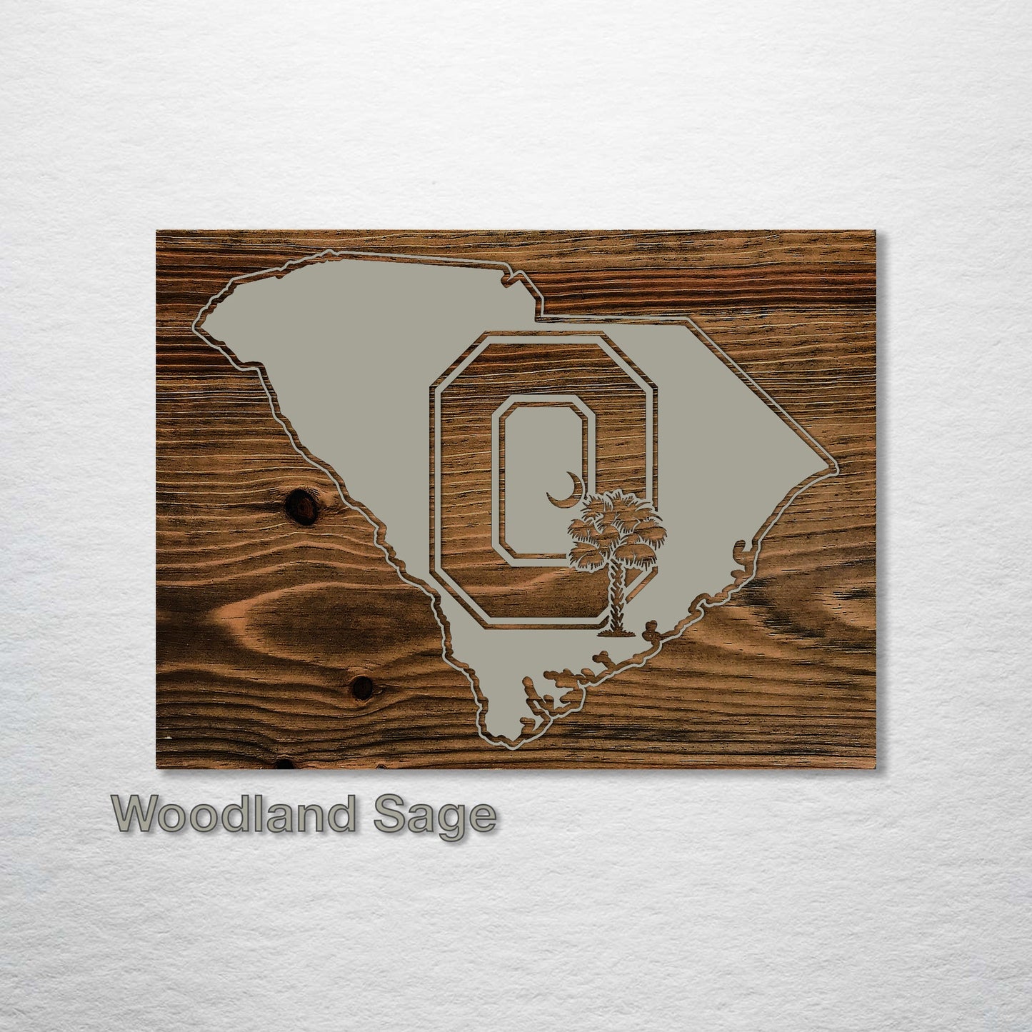 South Carolina "Block O" Abstract (inverted)