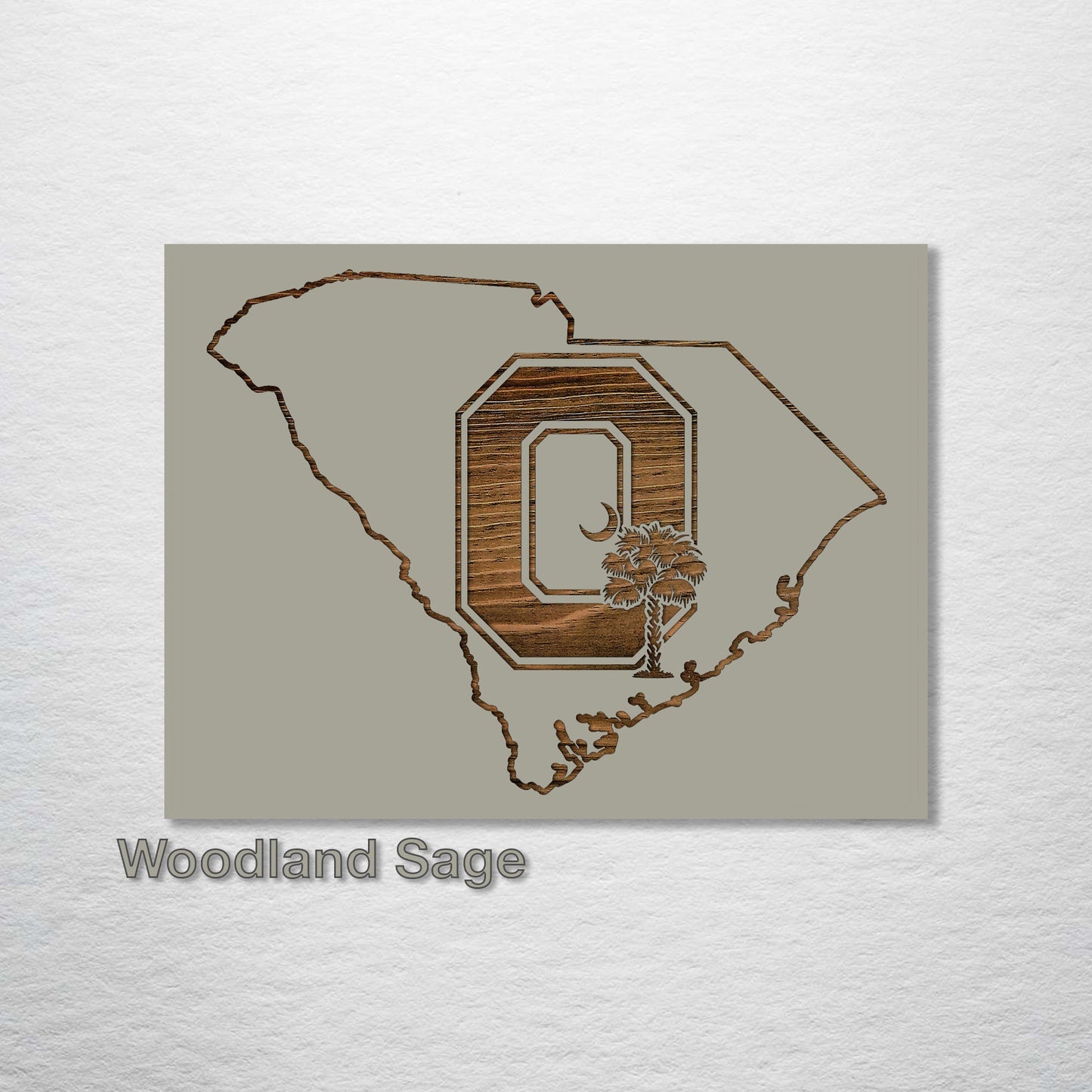 South Carolina "Block O" Abstract