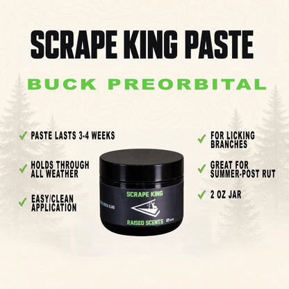 Scrape King | Buck Preorbital Gland