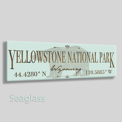 Yellowstone, Wyoming Bear