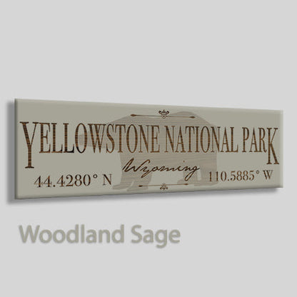 Yellowstone, Wyoming Bear