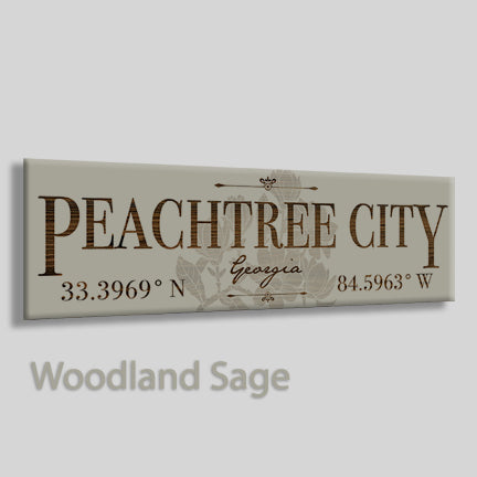 Peachtree City, Georgia