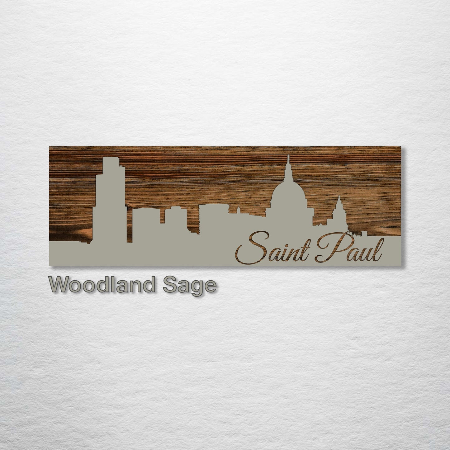 Saint Paul, Minnesota Skyline